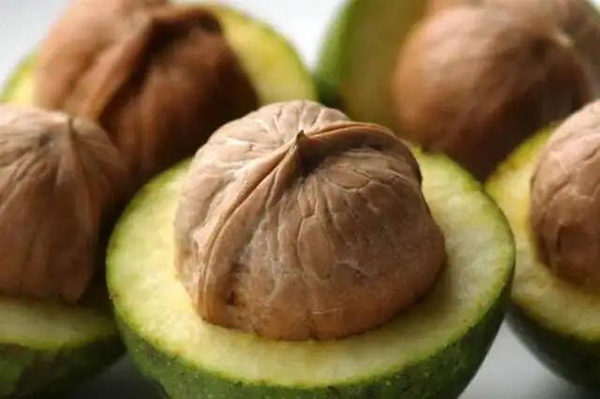 “红古核桃”获核准注册国家地理标志证明商标,带动群众致富路!厦门商标购买网 “红古核桃”获核准注册国家地理标志证明商标,带动群众致富路!厦门商标购买网