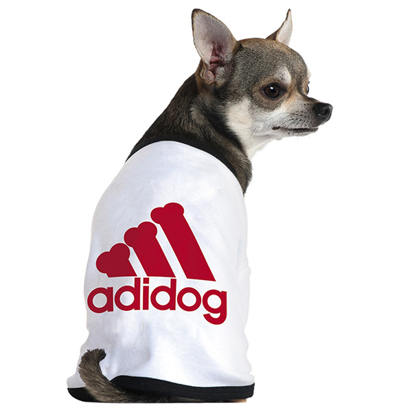 “Adidas”被日本一家“Adidog”宠物服装品牌侵权,成功维权!厦门商标撤销后多久可以注册 “Adidas”被日本一家“Adidog”宠物服装品牌侵权,成功维权!厦门商标撤销后多久可以注册