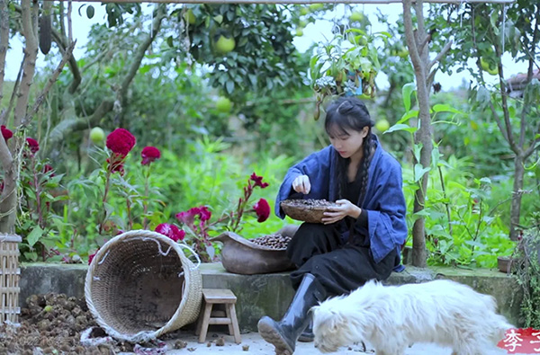 “李子柒”因商标侵权纠纷案再度“走红”,索赔7元意欲何为?厦门商标申请号查询进度 “李子柒”因商标侵权纠纷案再度“走红”,索赔7元意欲何为?厦门商标申请号查询进度